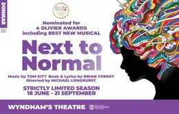 NEXT TO NORMAL