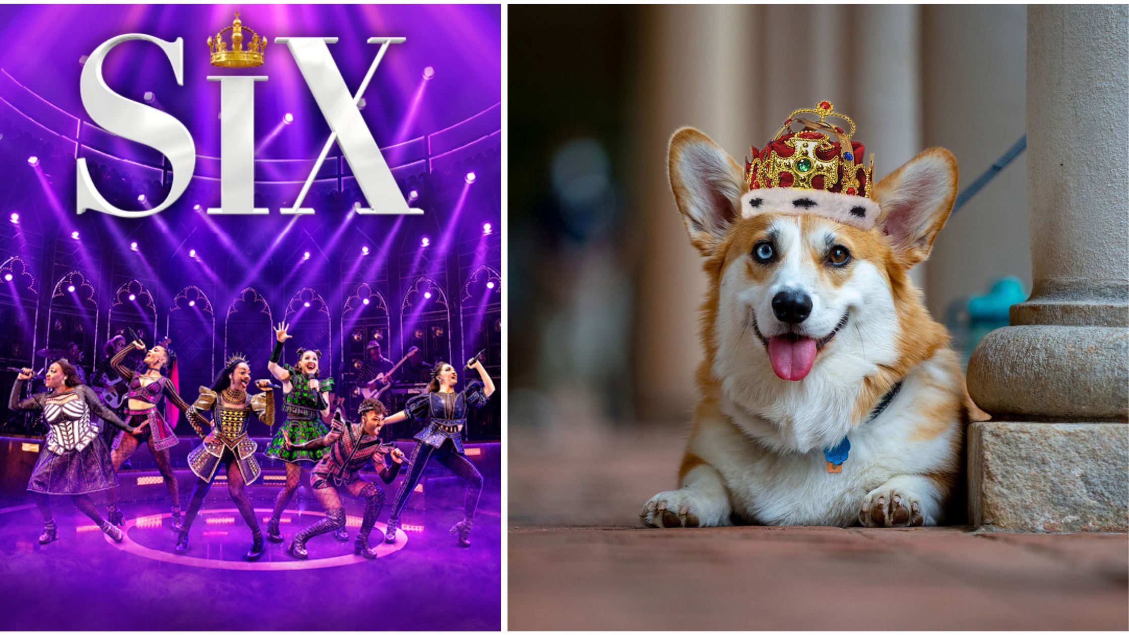 Six and Corgi
