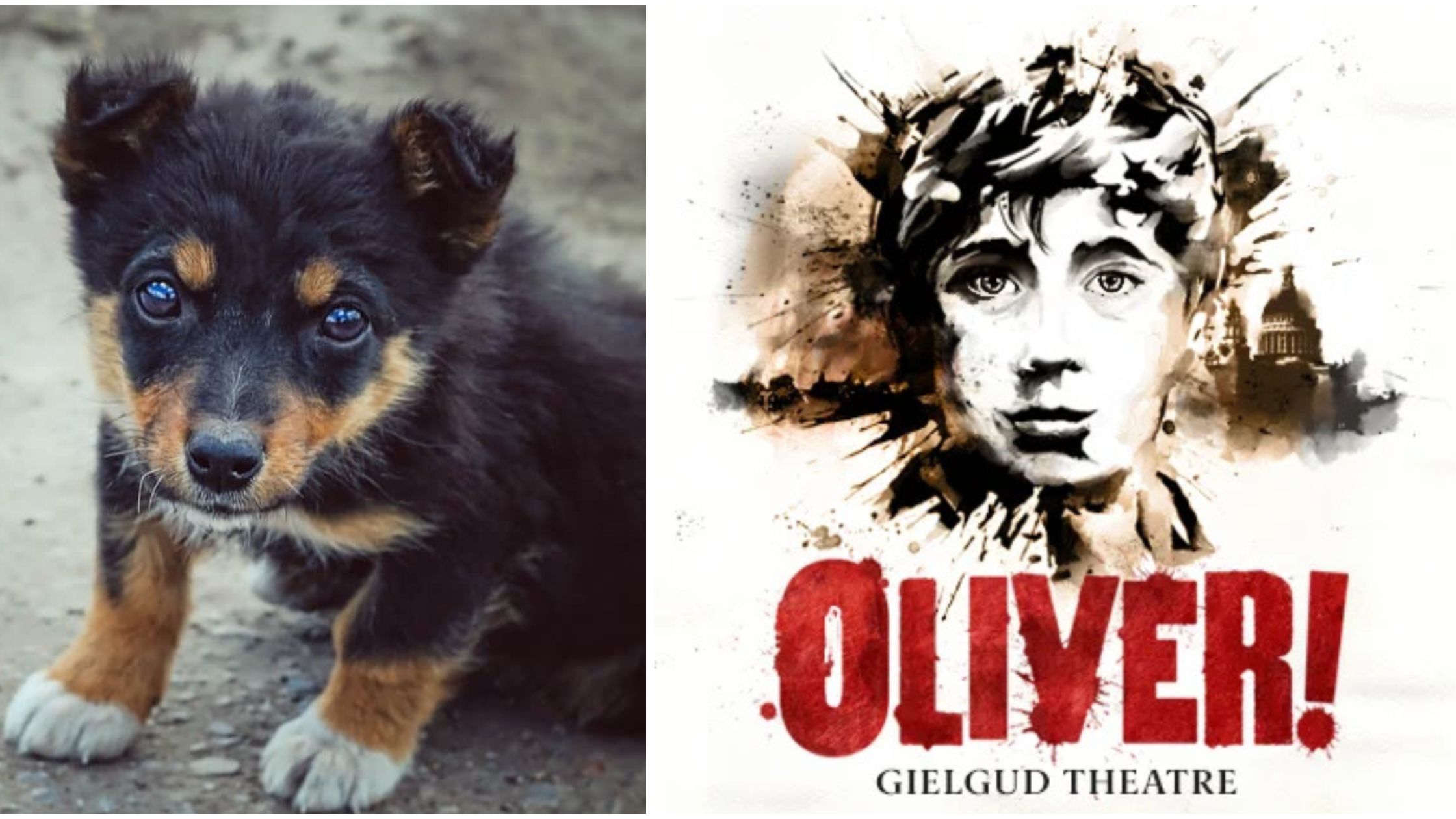oliver west end