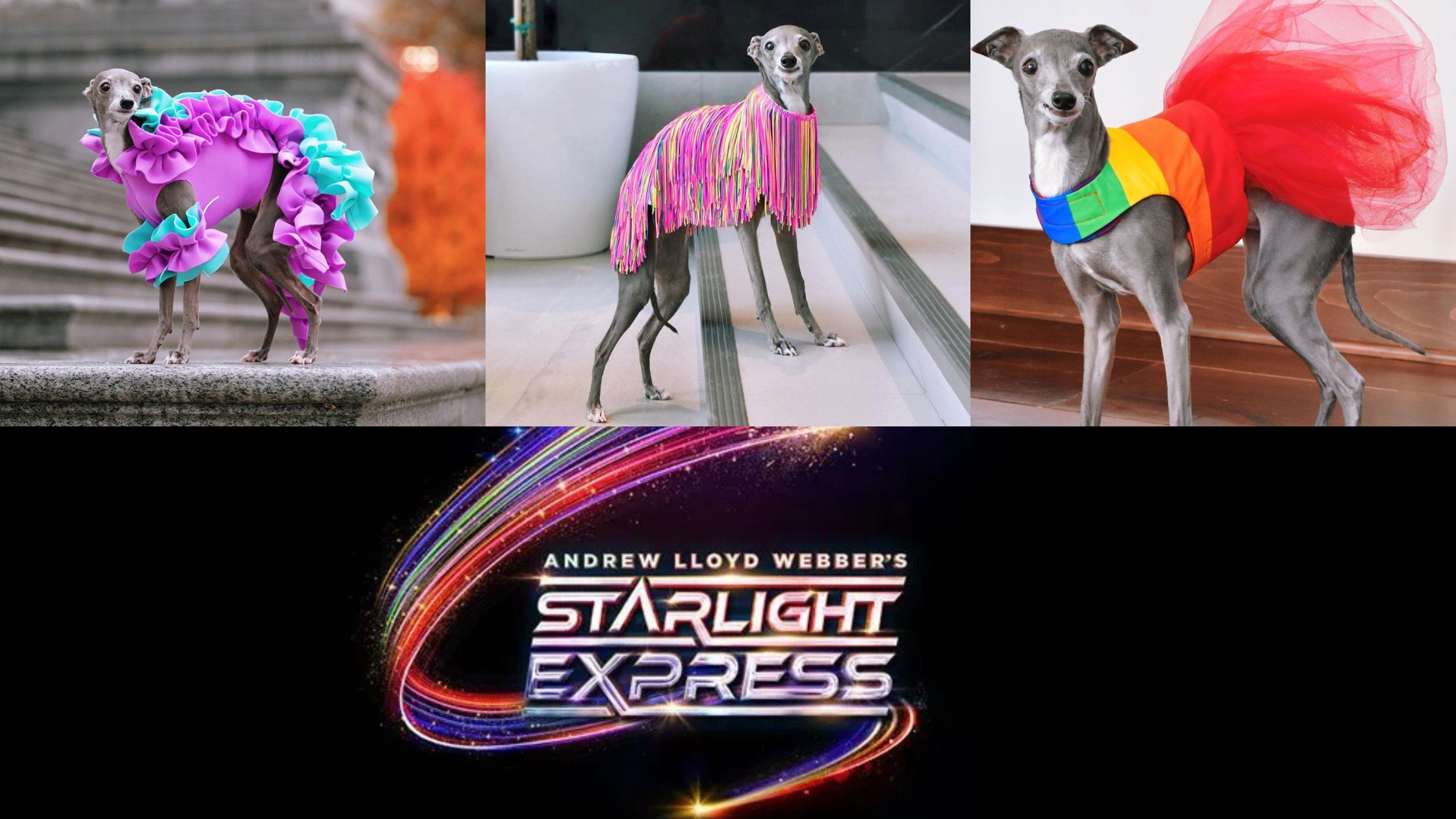 Stralight Express and Tika