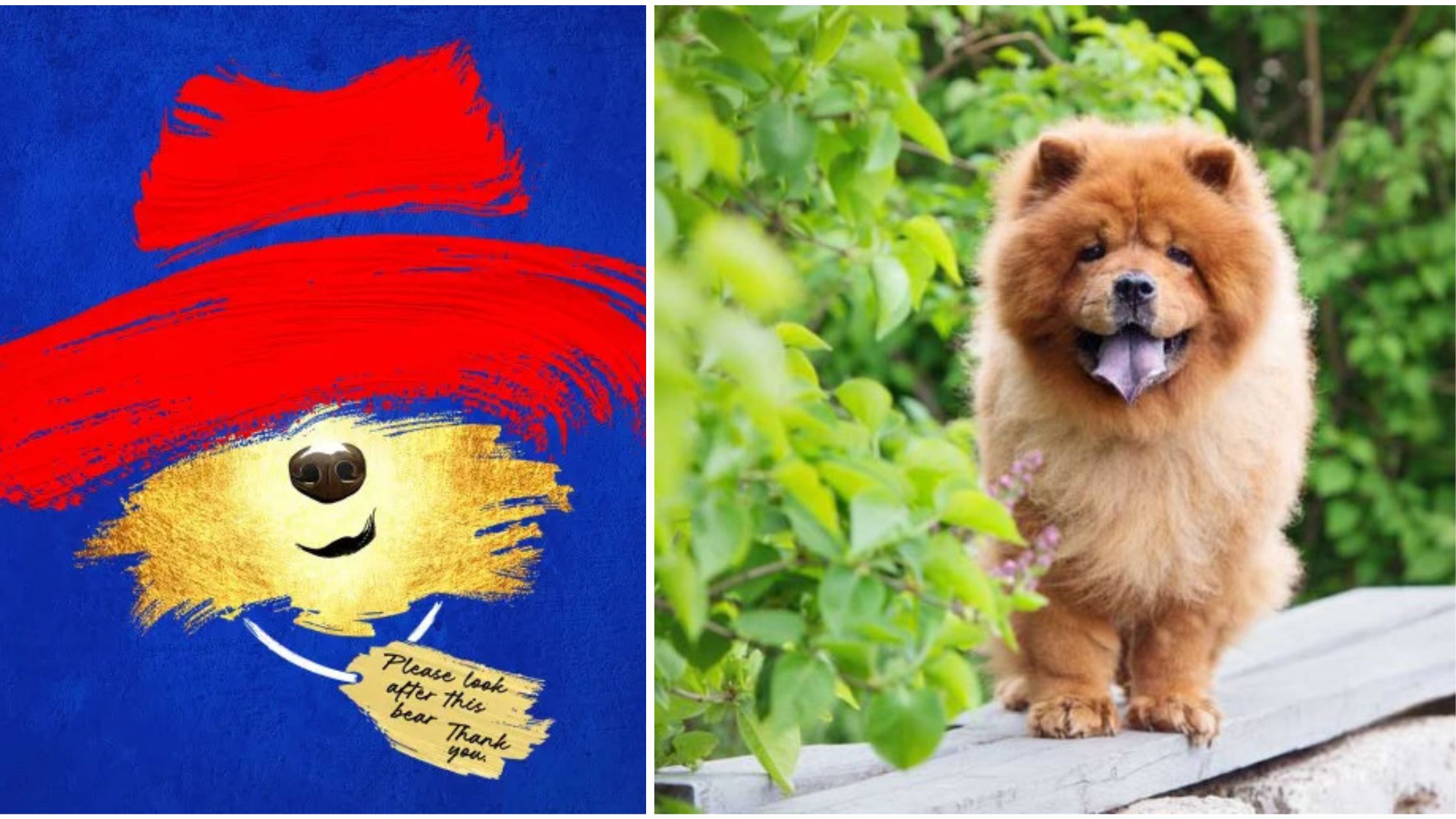 Paddington musical