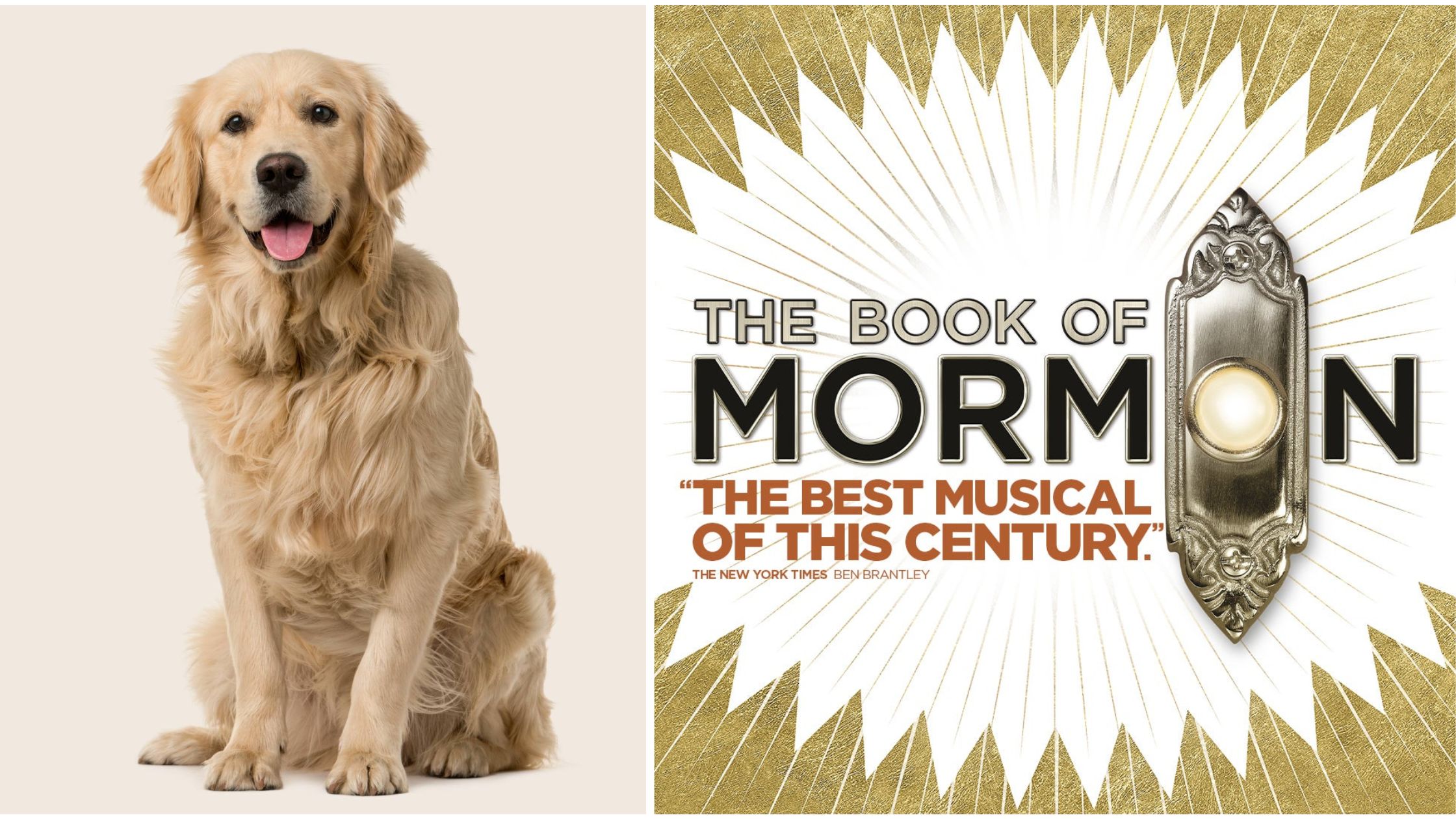 Top London musicals The Book of Mormon