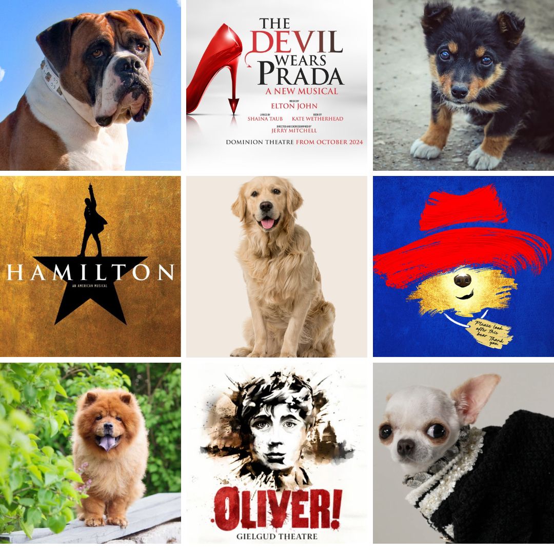 Top London Musicals as Dogs