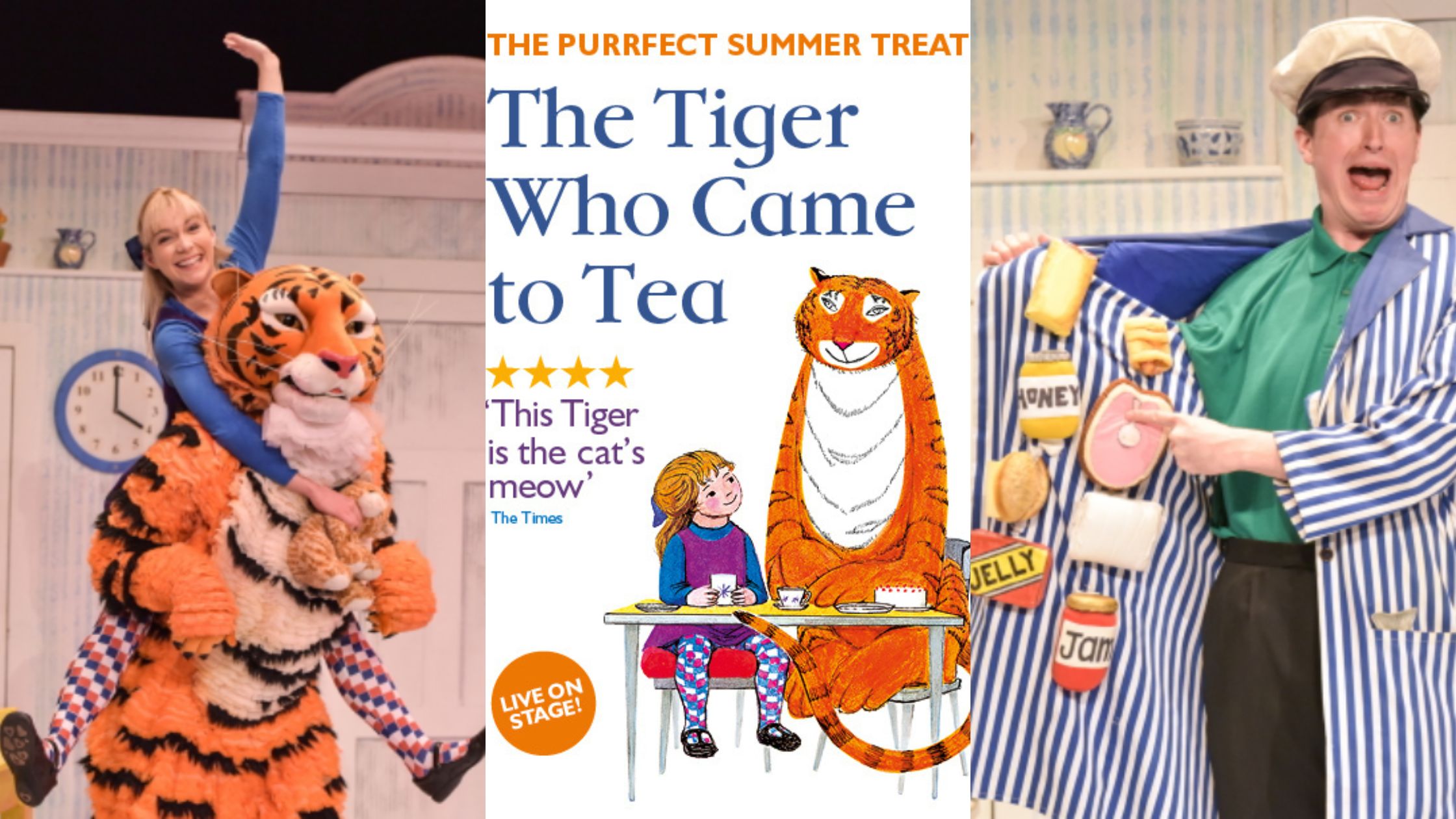 The Tiger Who Came To Tea Images