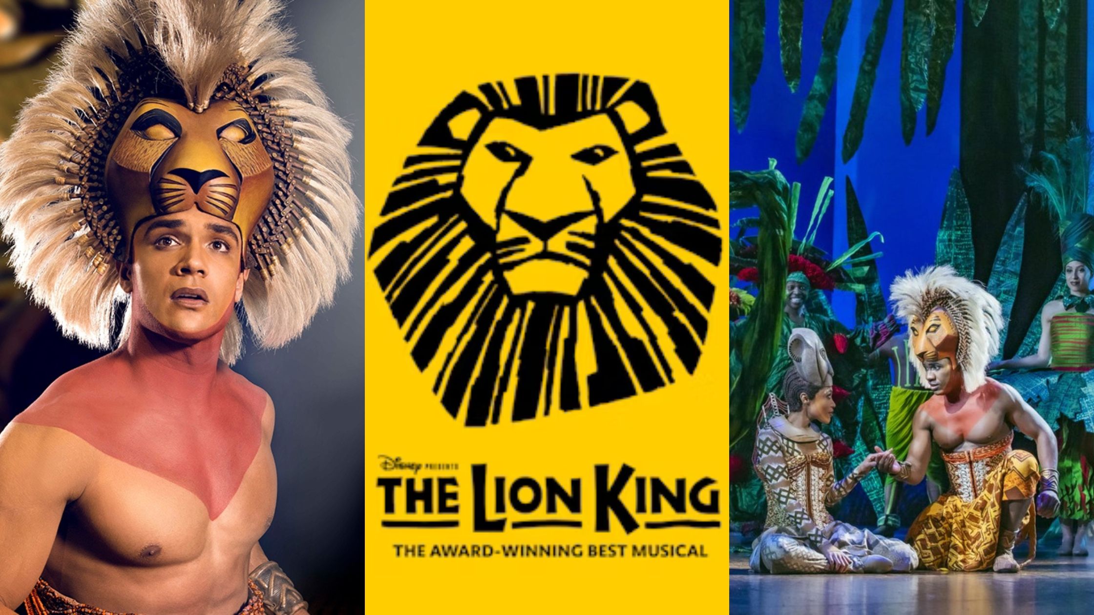 The Lion King Tickets